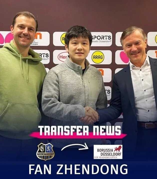 樊振东获德甲历史第一高薪！波尔：他是史上最佳球员 能打开中国市场